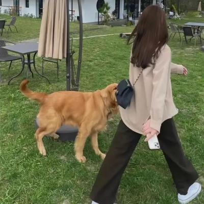 等待超人